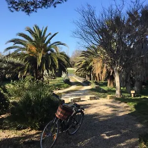 L'oasis En Provence Tarascon